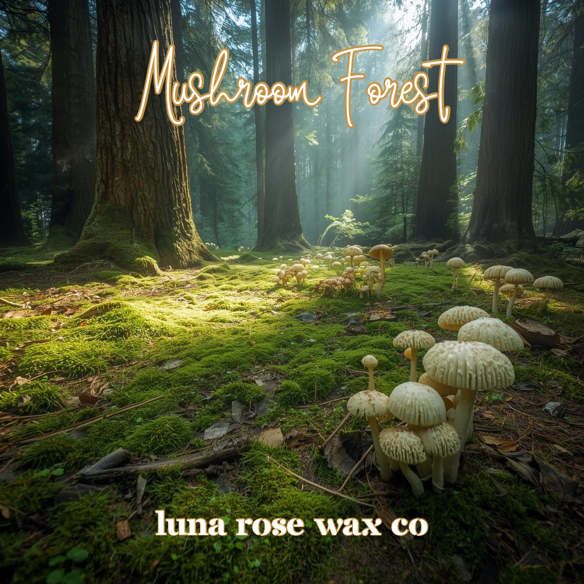 Mushroom Forest β’ Cocosoy Wax Melts