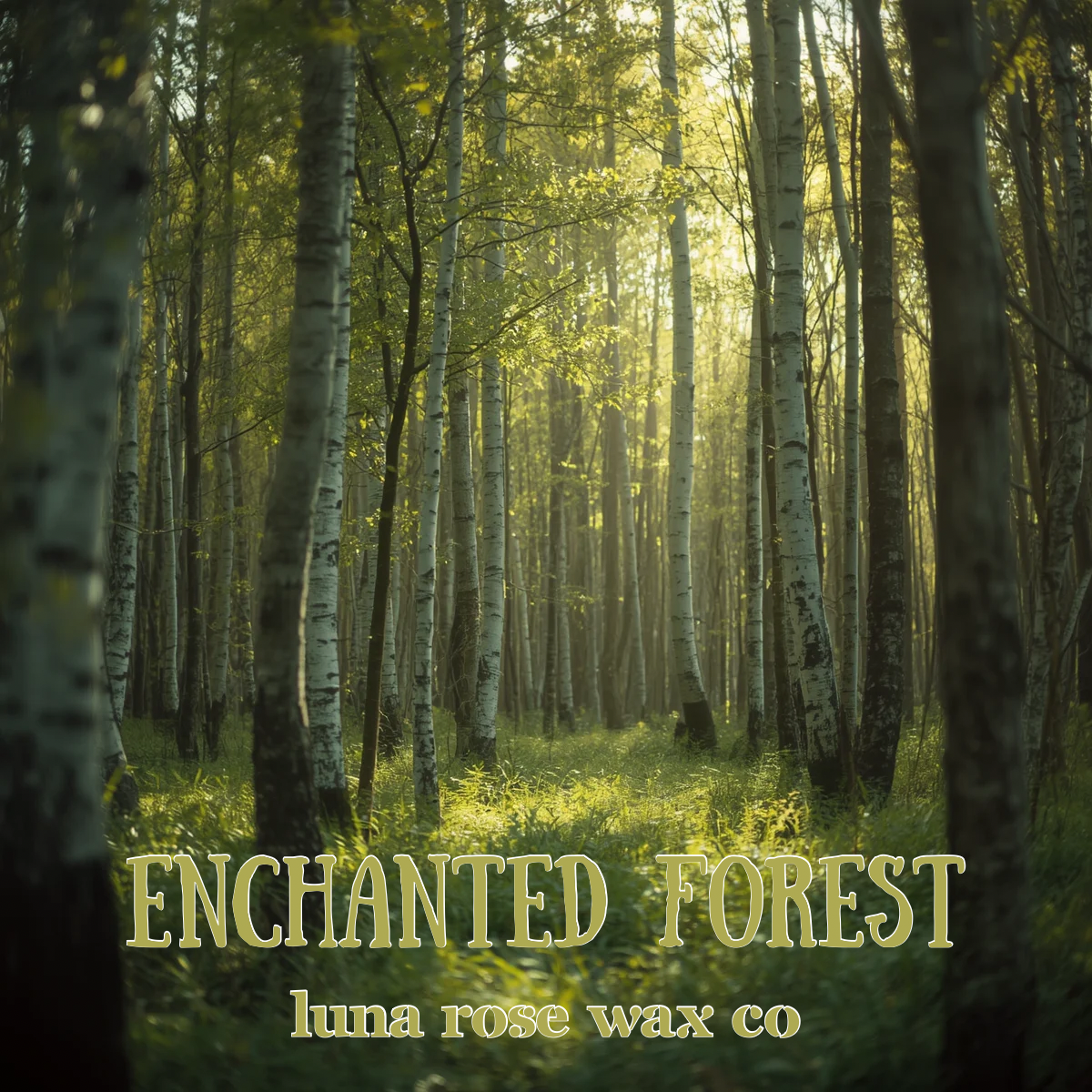 Enchanted Forest | Cocosoy Wax Melts • 2.9 oz Clamshell