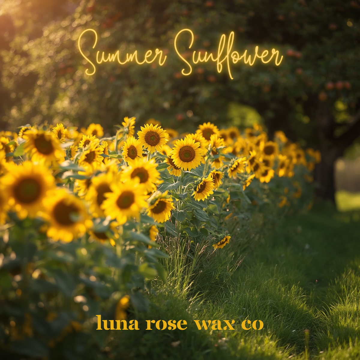 Summer Sunflower (August Scent of the Month) • Cocosoy Wax Melts