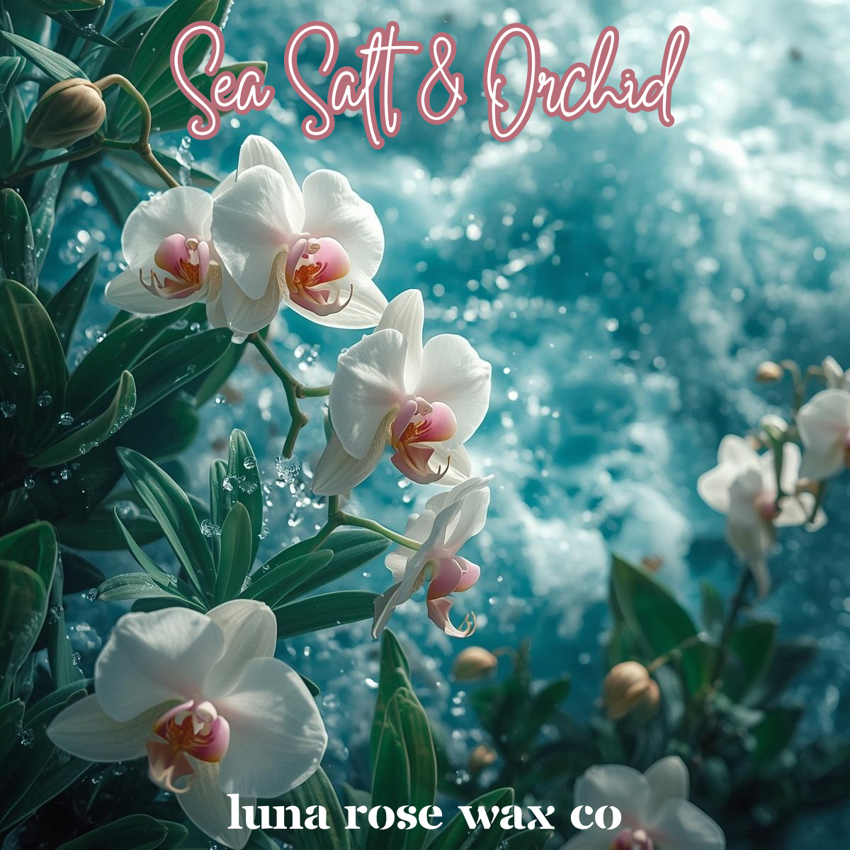 Sea Salt & Orchid • Wax Melts