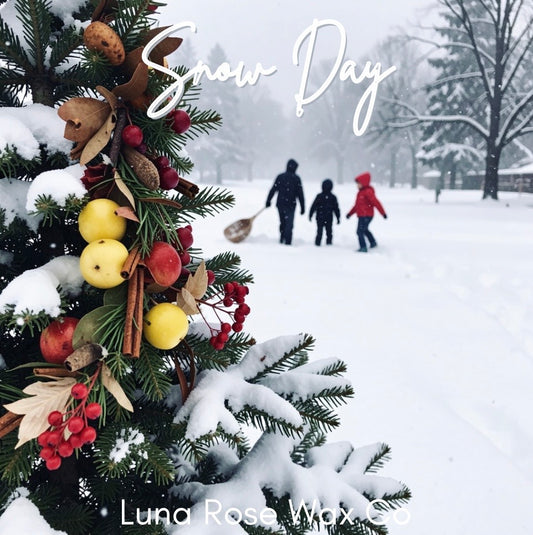 Snow Day • Cocosoy Wax Melts