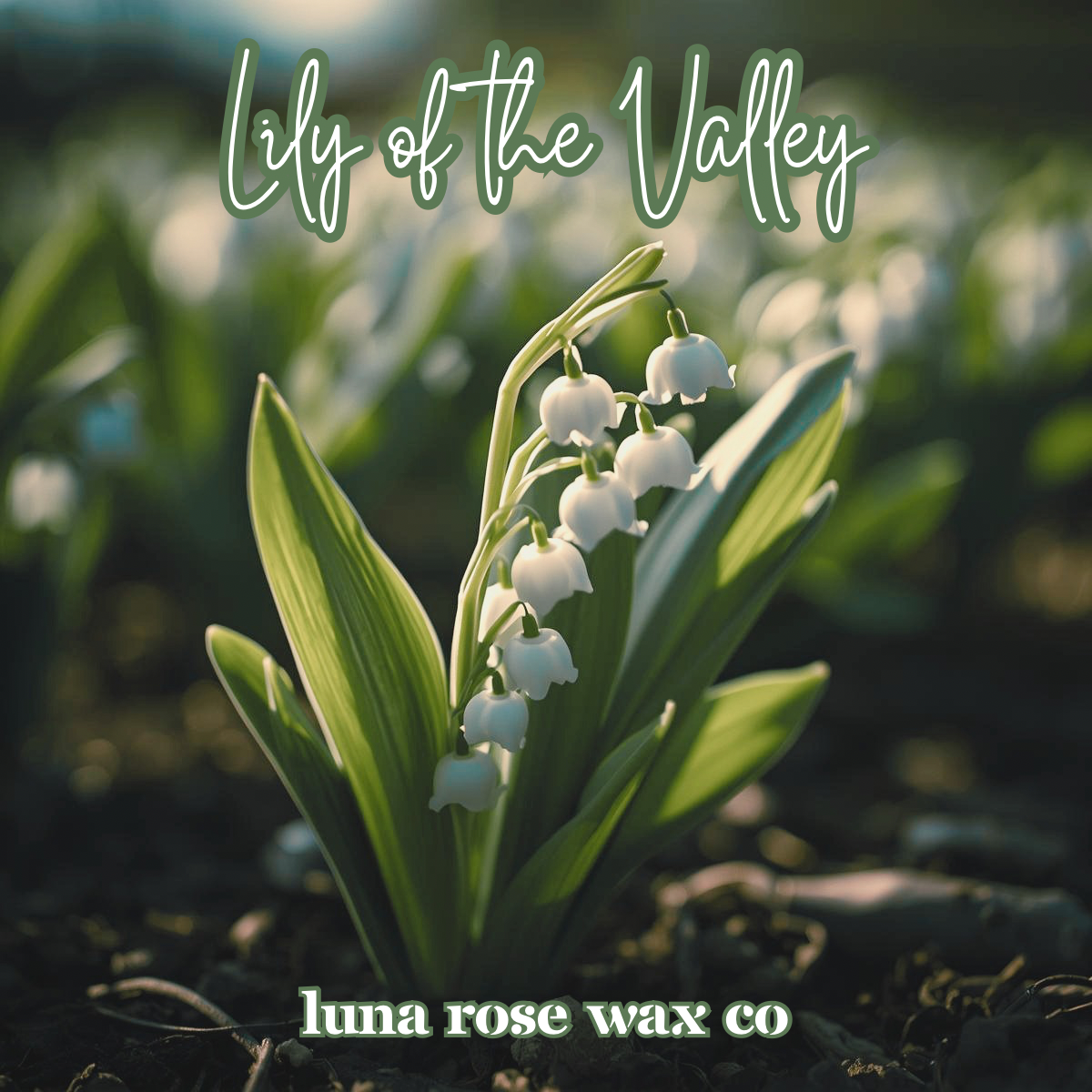Lily of the Valley • Wax Melts