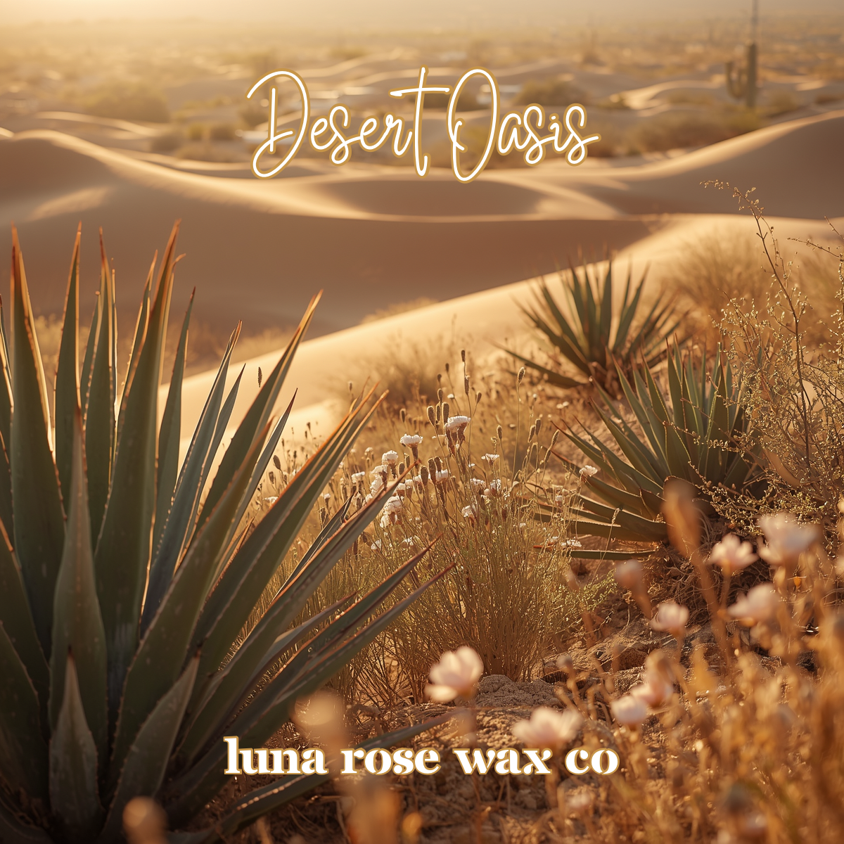 Desert Oasis • Cocosoy Wax Melts