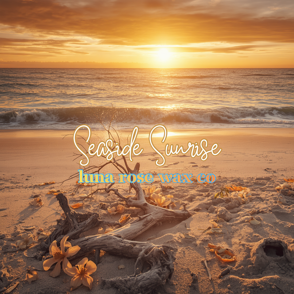 Seaside Sunrise • Cocosoy Wax Melts