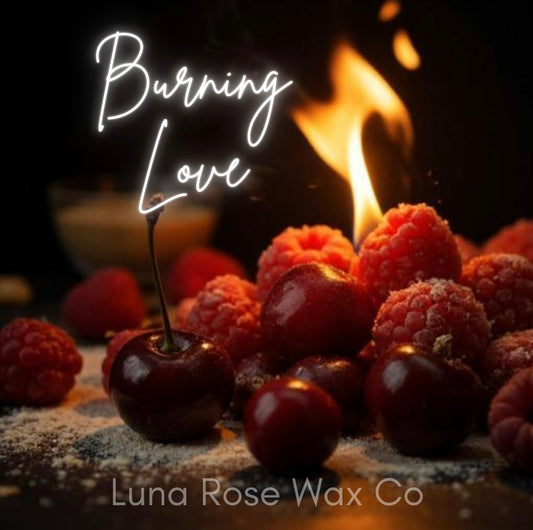 Burning Love • Cocosoy Wax Melts
