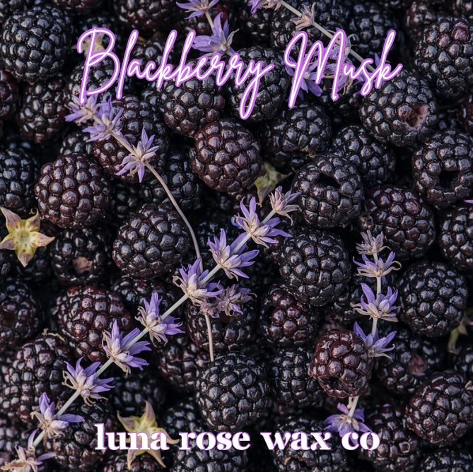Blackberry Musk • Cocosoy Wax Melts