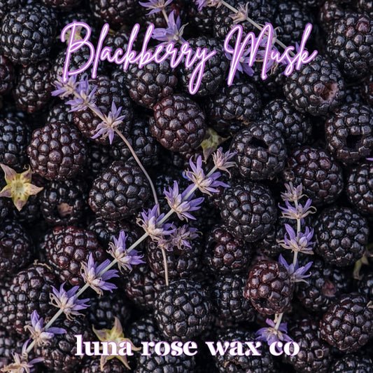 Blackberry Musk • Cocosoy Wax Melts